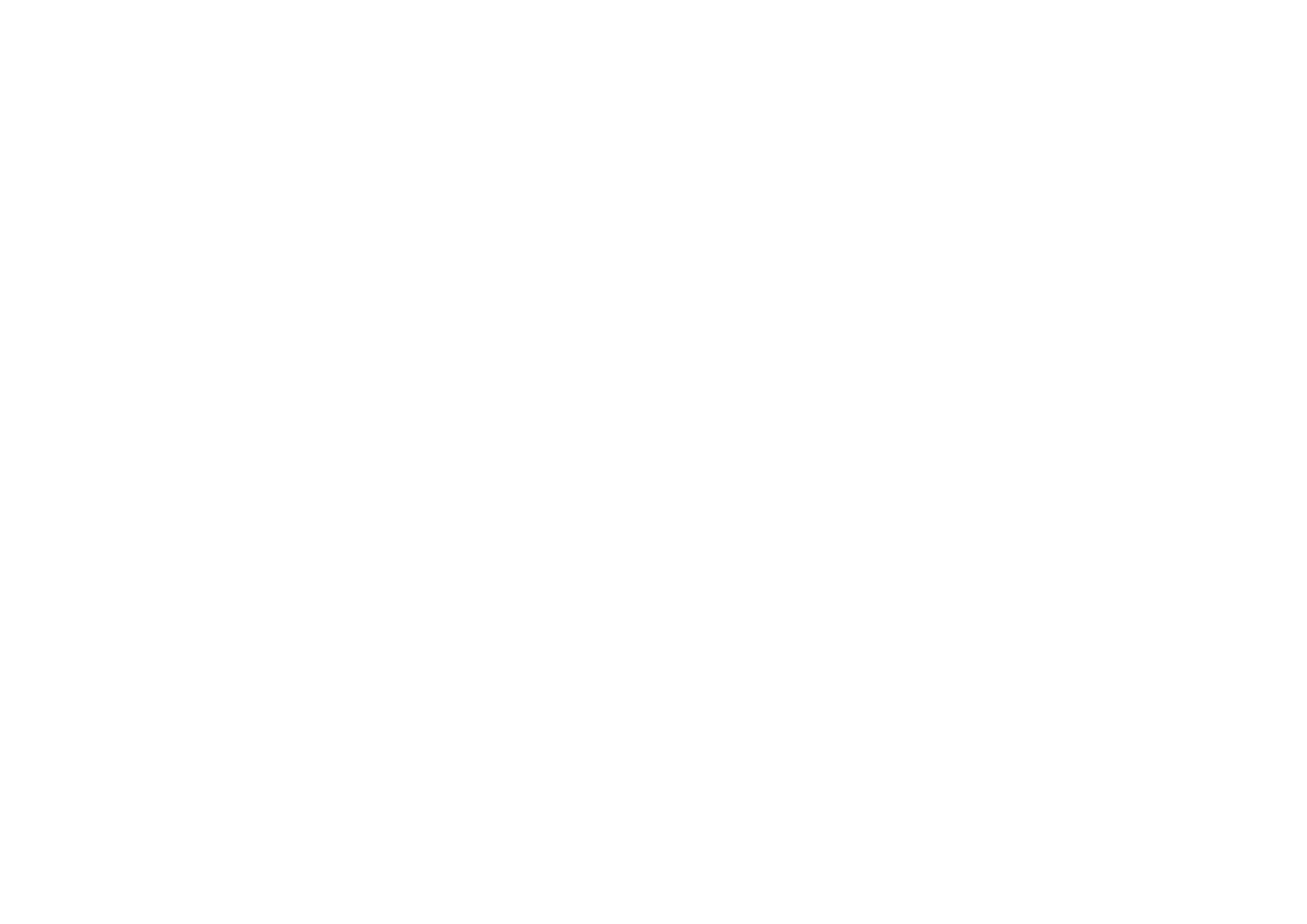 The Bold Team